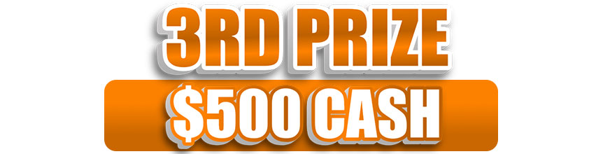 3rd Prize $500 Cash